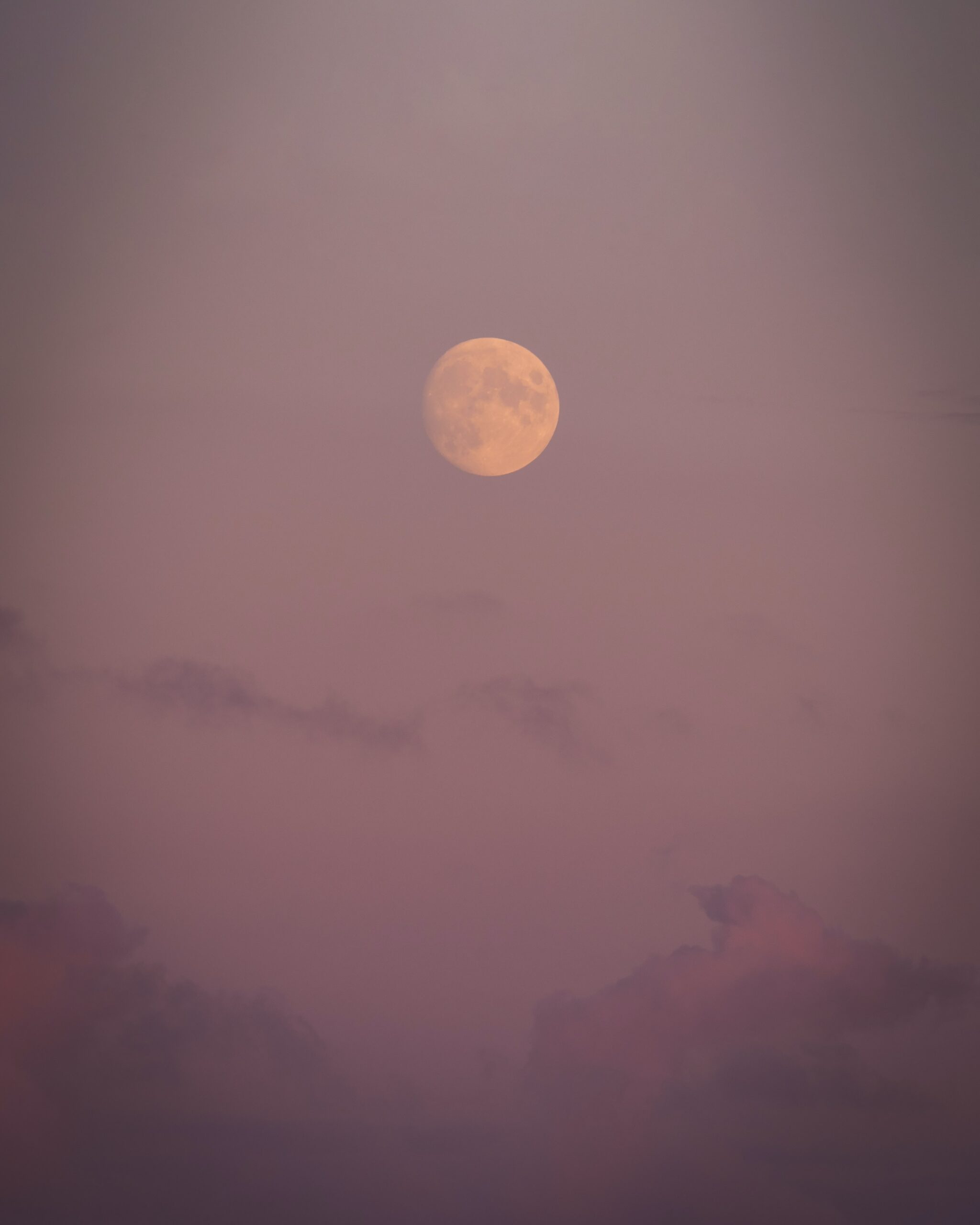daniel-morris-w7Y5nwQSbfg-unsplash