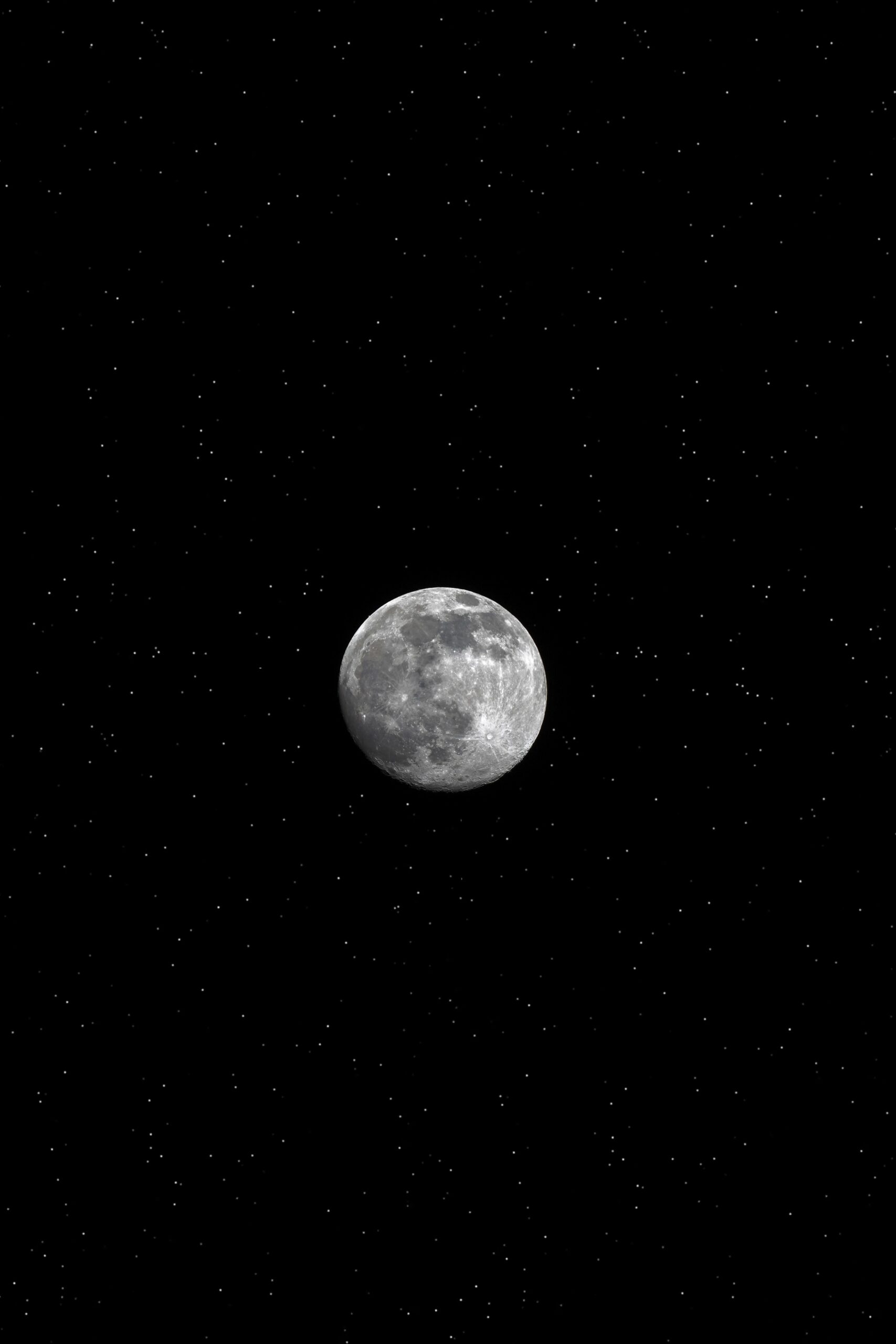leandra-rieger-wk966Ouqces-unsplash (1)